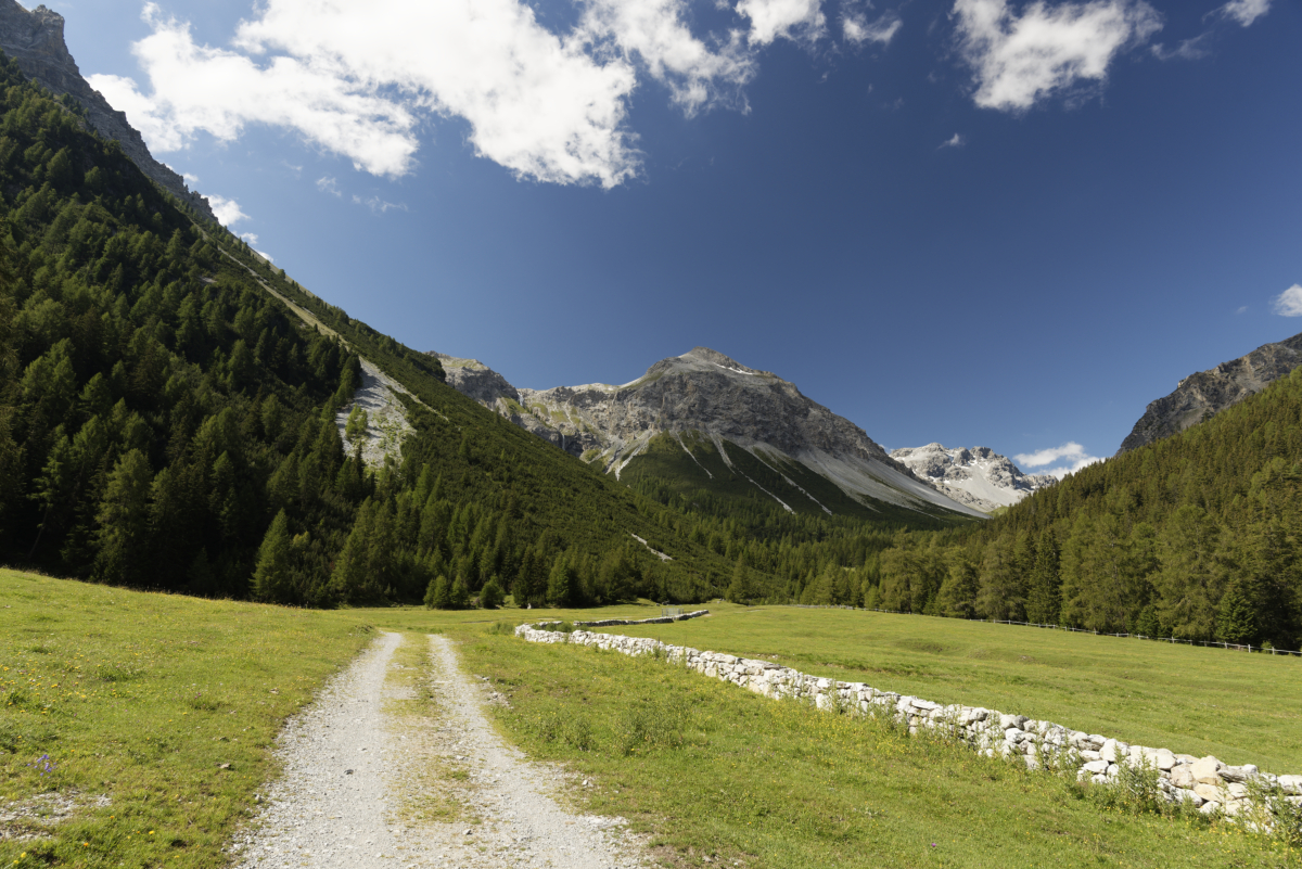 Val Mora entre Santa Maria et Buffalora