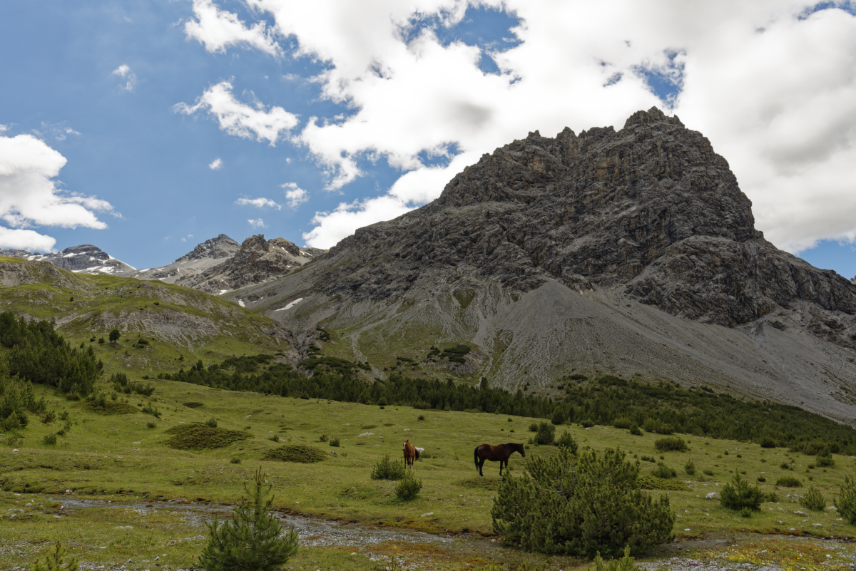 Val Mora entre Santa Maria et Buffalora