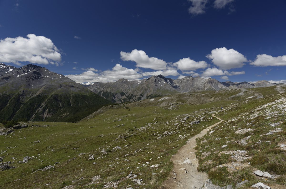 Vallun Chafuol entre Buffalora et Zernez